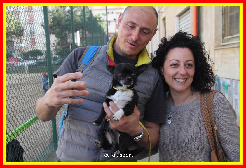 180311 mostra_canina 213.jpg